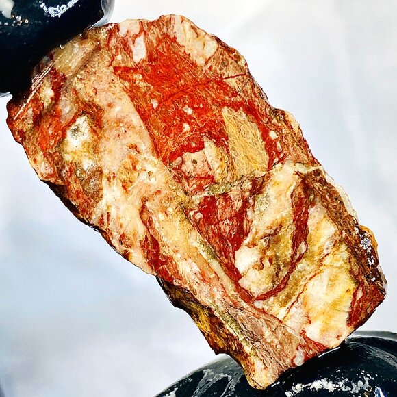 Accents | Coprolite Dino Poop Agate Jasper Slab Slice Stone Cab Cabbing ...